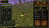 ÖZEL NİCKLİ PRİEST VE ROGUE YANYANA