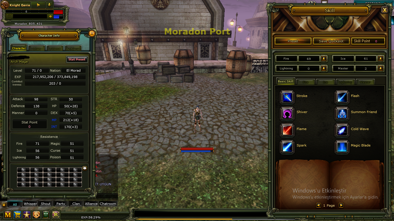 71 LEVEL HUMAN MAGE