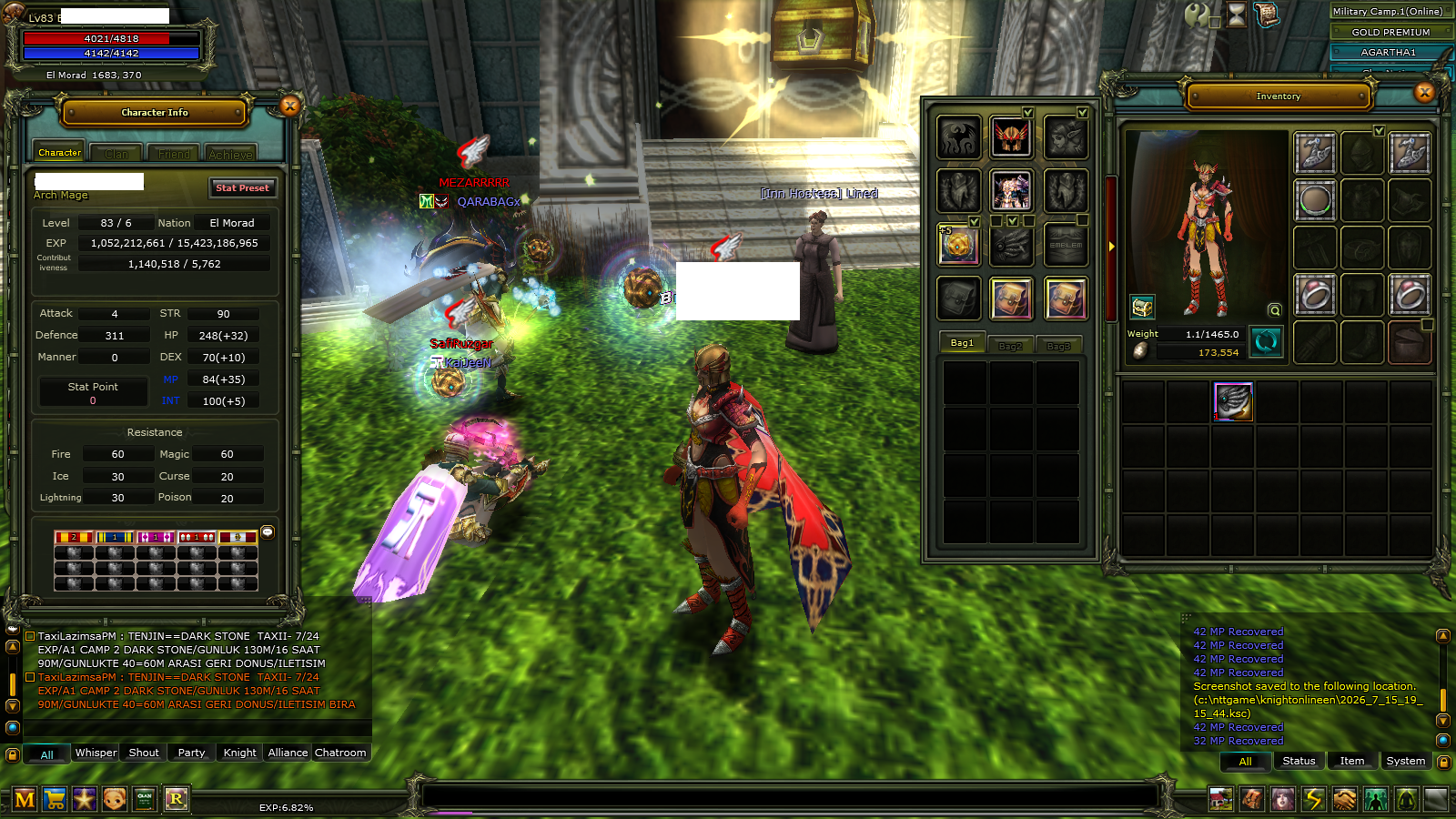 83/6 Mage