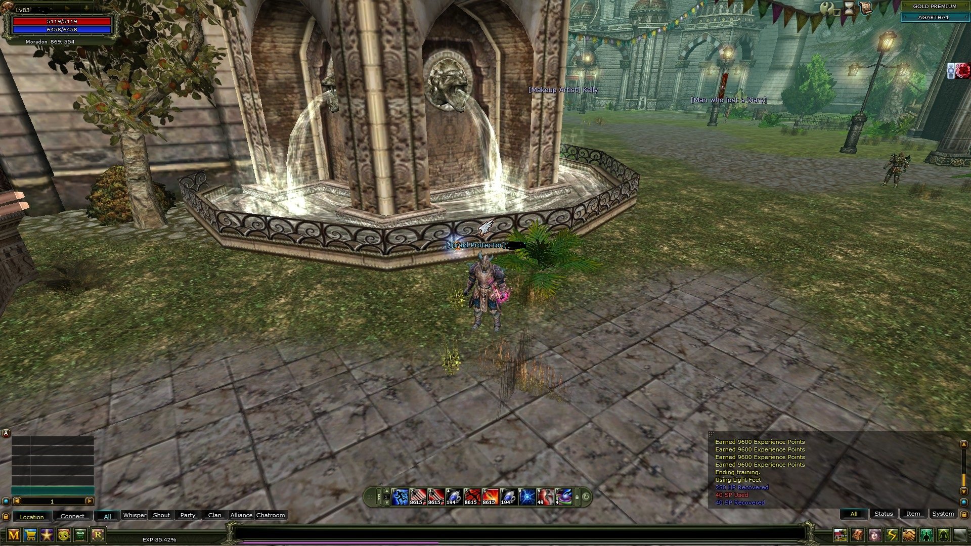 83/3 okçu Gold pre walkryli 80 lvl 3 priest int atacker