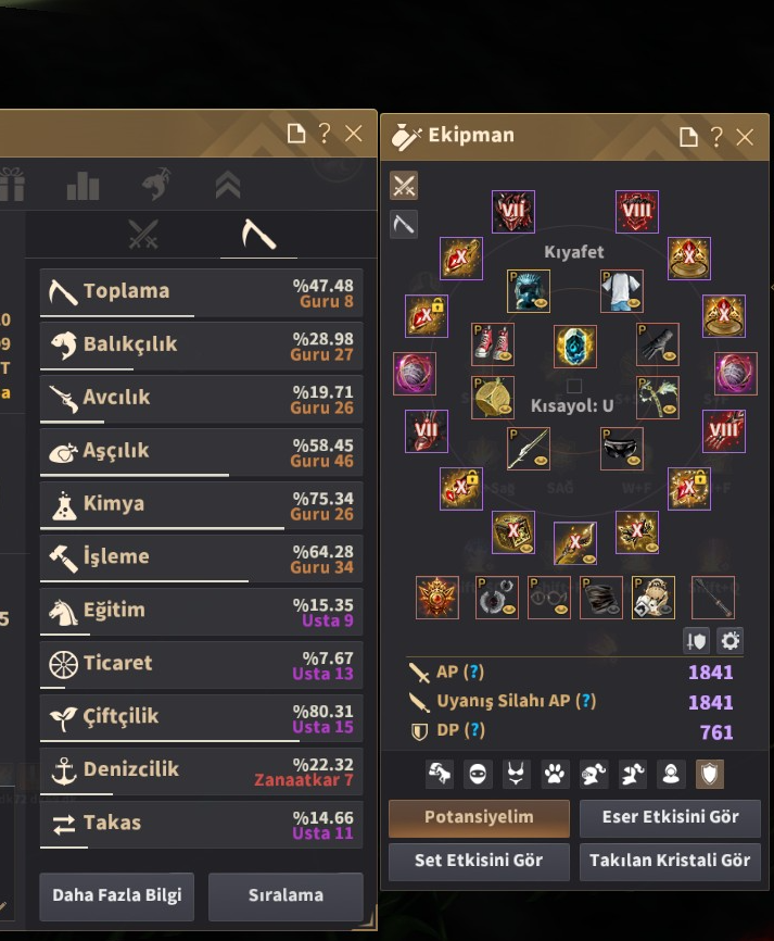 1.1T paralı 66 lvl SAGE