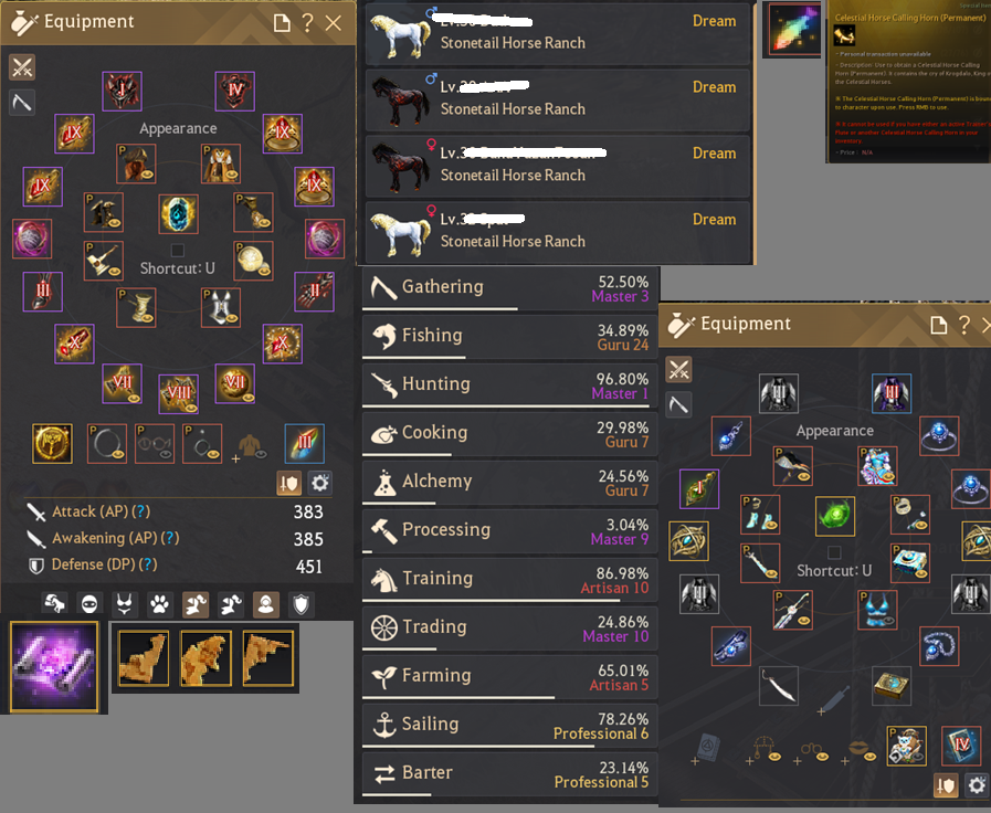 [EU] 836 GS DOLU DOLU RGN CARRY ANONİM HESAP