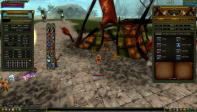 SELL 81% 11 HUMAN FR MAGE