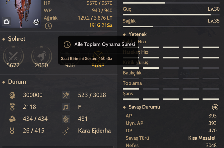 861 GS - P2W Yapılı Hesap