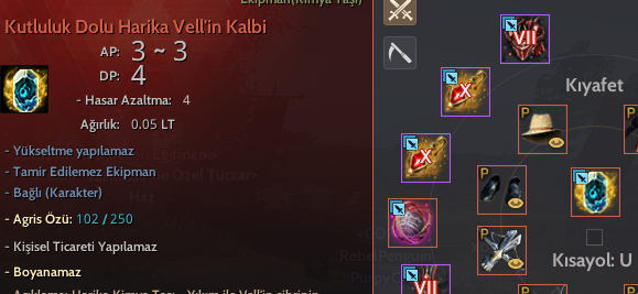 861 GS - P2W Yapılı Hesap