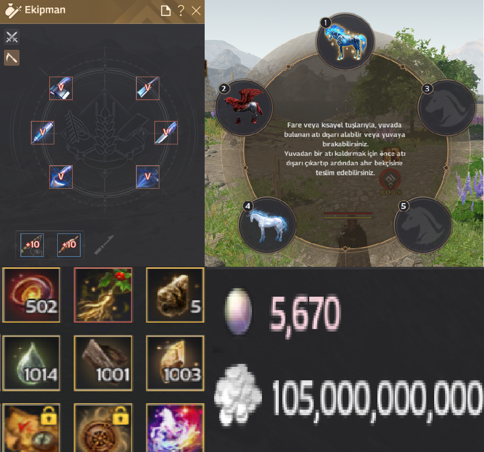 5600 İnci - Anonim - 100B - Hazineli End Game hesap