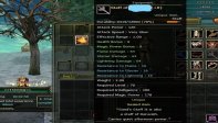 83/1 9 quest staflı karus mage