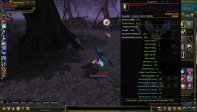 83 lvl human mage