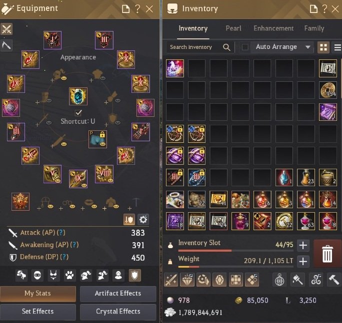 841GS P2W bitik IX Silah T11 At