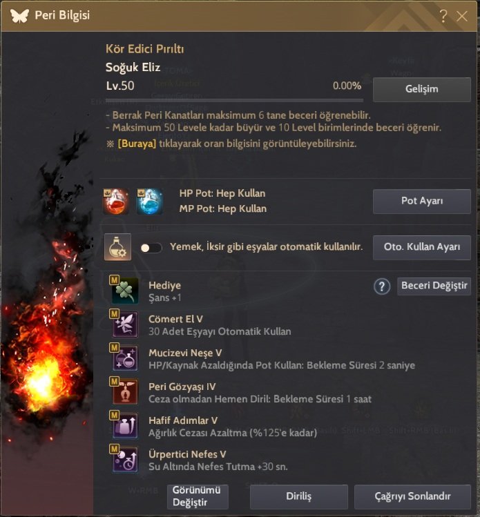 Full Dec 65 Level End Game Hesap