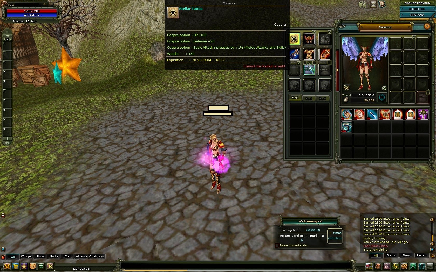 70 Level Human Kız Mage