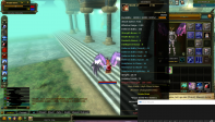 KARUS 83/1 PRİEST % 78 EXP - 8 QUEST KALKAN