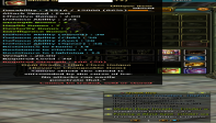 83/2 7 Ve 6 Quest Karus Priest 376K Np % 80 Exp Skill Stat Sıfır