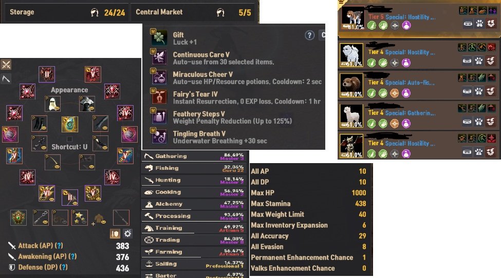 813 GS 382 AP 435 DP P2W Client Hesabı