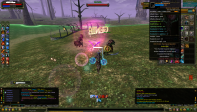 8 REB QUEST MS SERVER.ZERO