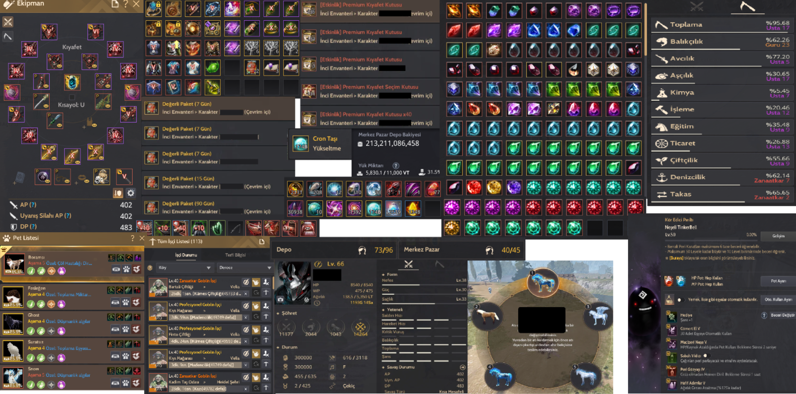 885 GS Full X-X-X PVE PVP Client Hesap