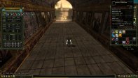 81 lvl okçu 74pri 72 mage 69 asas yan char