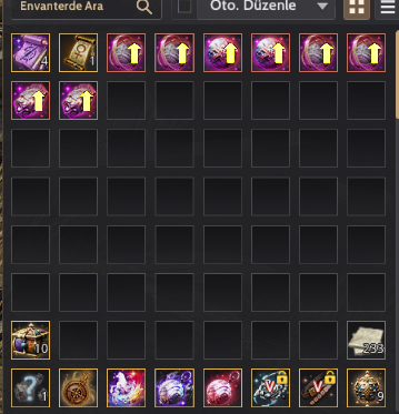 889 GS FUL P2W CADI GUARD