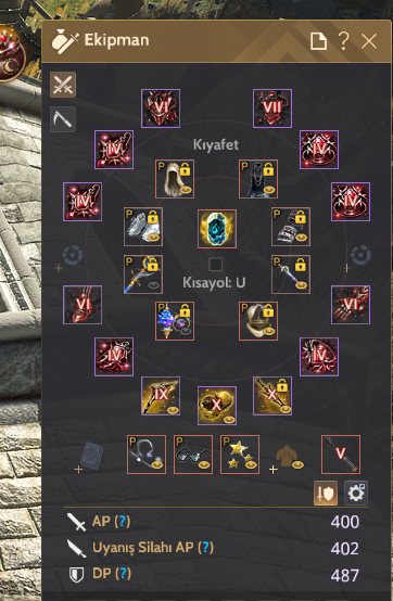 889 GS FUL P2W CADI GUARD