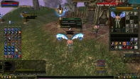 Felis 83/2 800 DEF OKCU