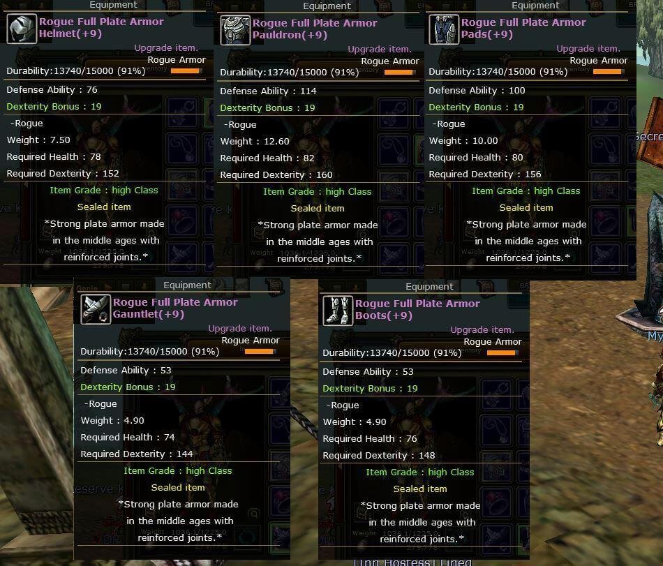 ROGUE FULL PLATE SET 9