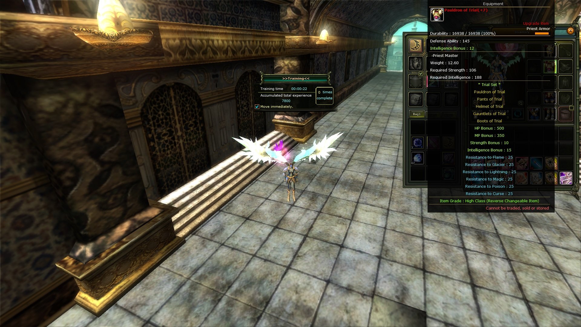 82 LEVEL PRİEST 7 İNT TRIAL SET