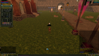 83/10 8 Quest Staff 7 M Np