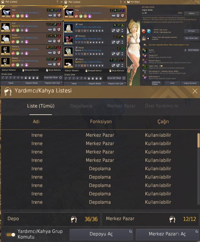 881 GS 403 AP ANONIM DOLU HESAP