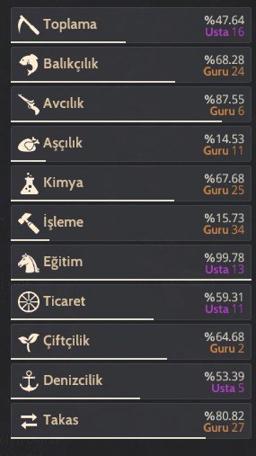 66 Level Cadı En uygunu ve acil satış kesinlikle icele ve kaçırma...