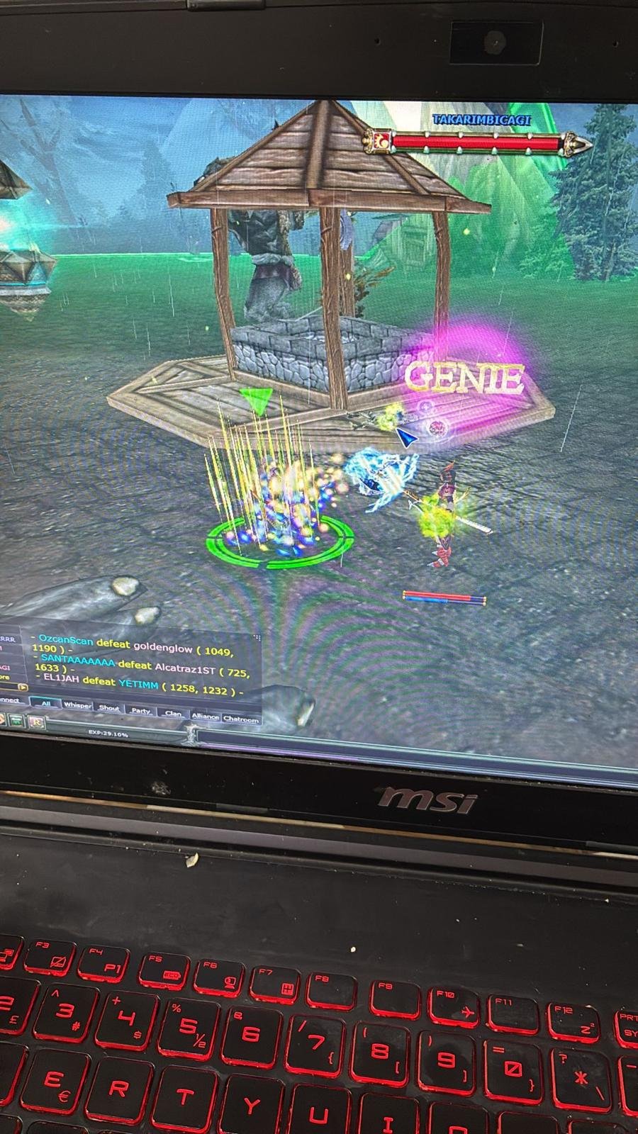 83/1 karus % 100 exp priest