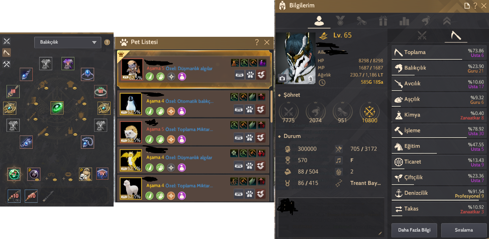 837Gs 65LV Witch