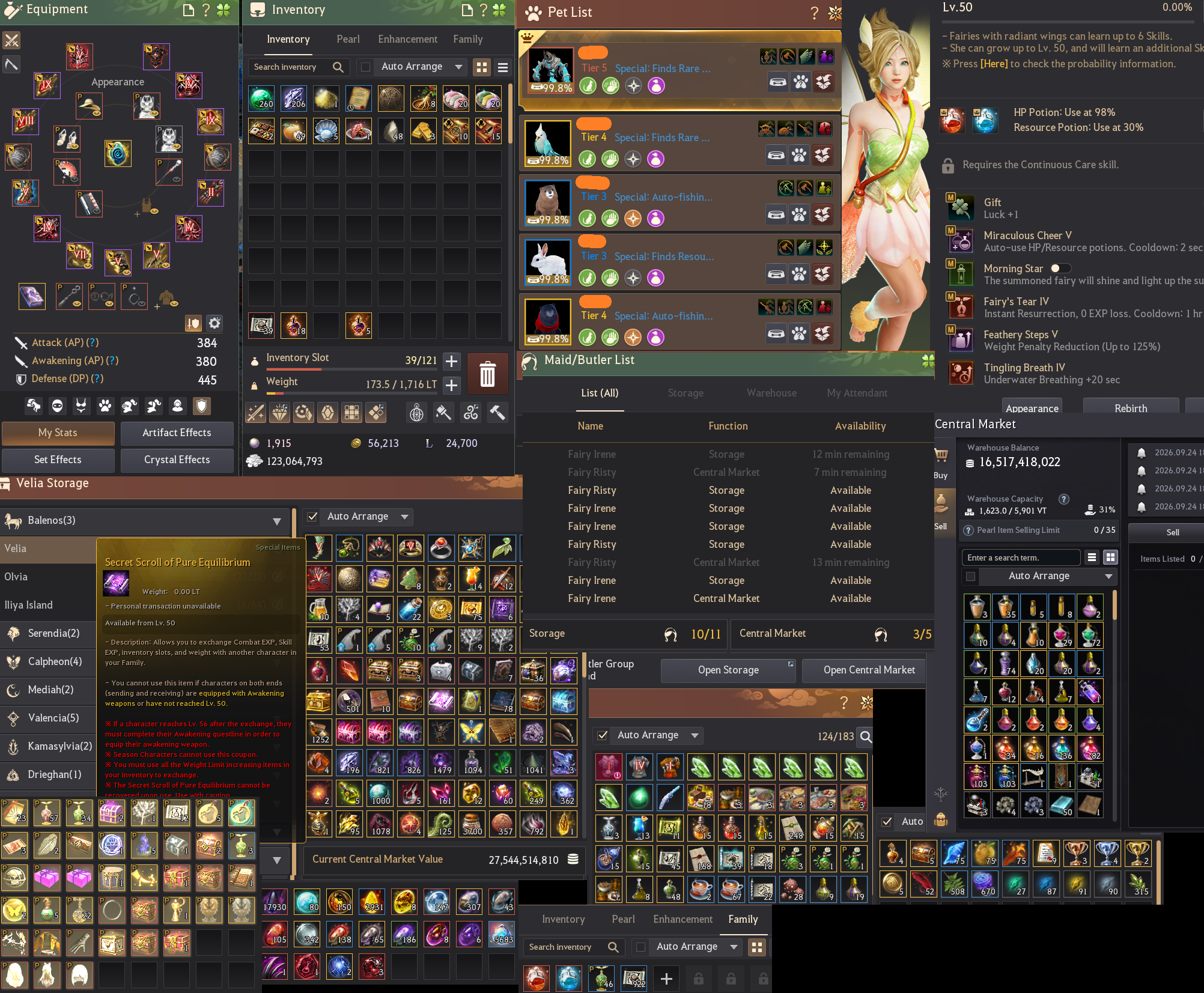 825 GS Anonim Hesap