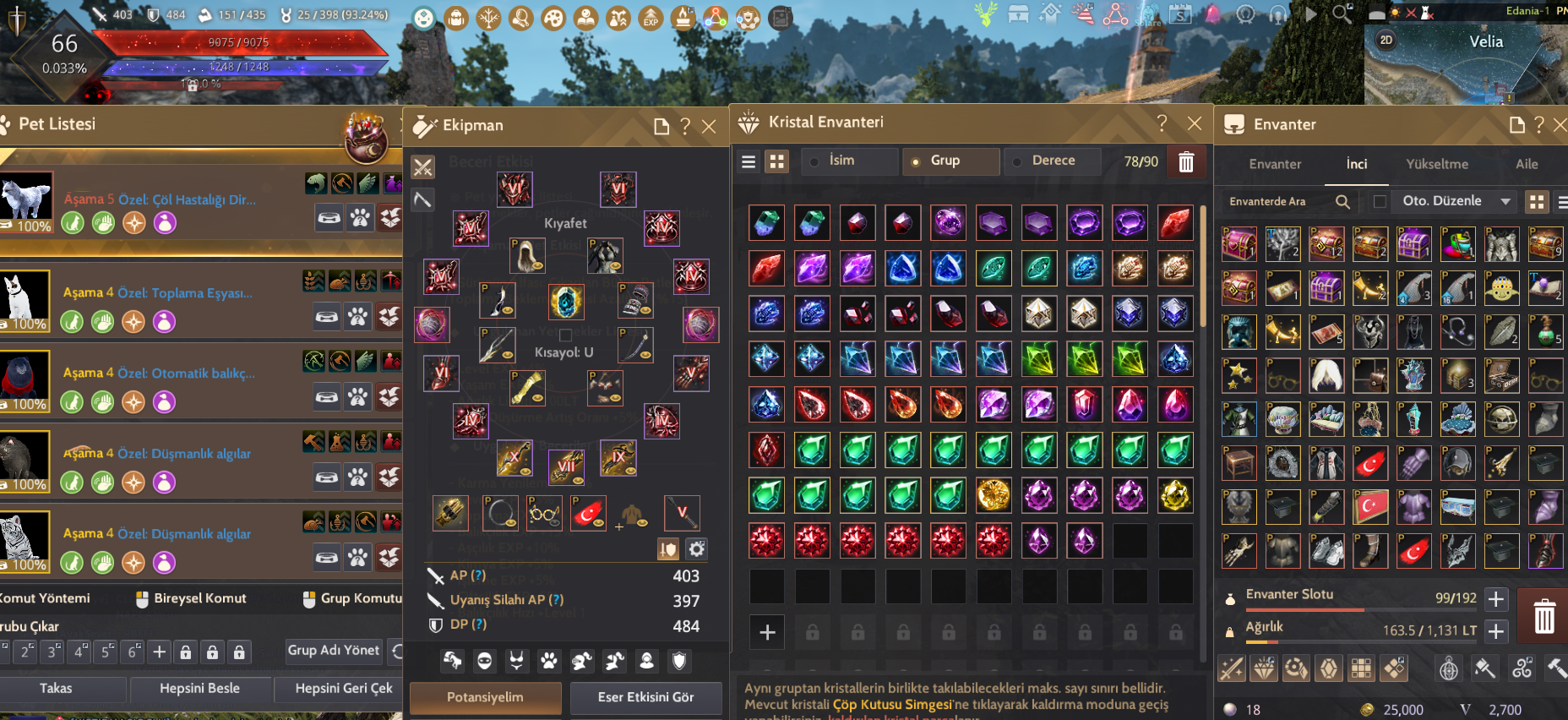 887 GS FULL P2W HESAP 403 AP 484 DP