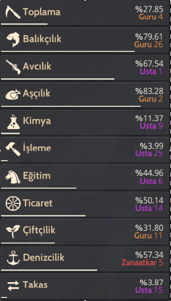 916 GS Full P2W HAZIR HESAP