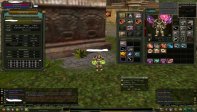 82 % 78 karus rogue full skill