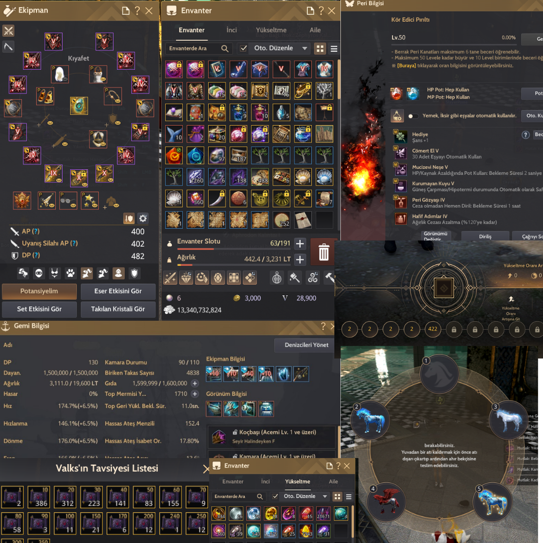 66 Level EltenParçalı Karaklı Dolu Char