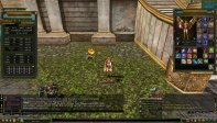 83/3 RONS SETLİ(HP) HUMAN MAGE