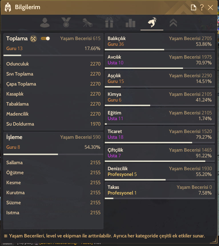 916 GS Full Dec Hükümranlı Account