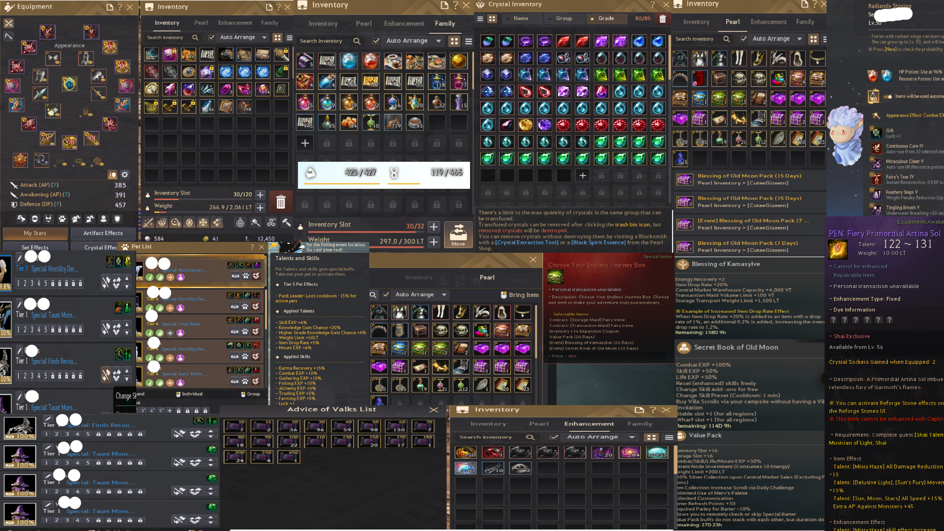 Anonim 845 GS Full P2W