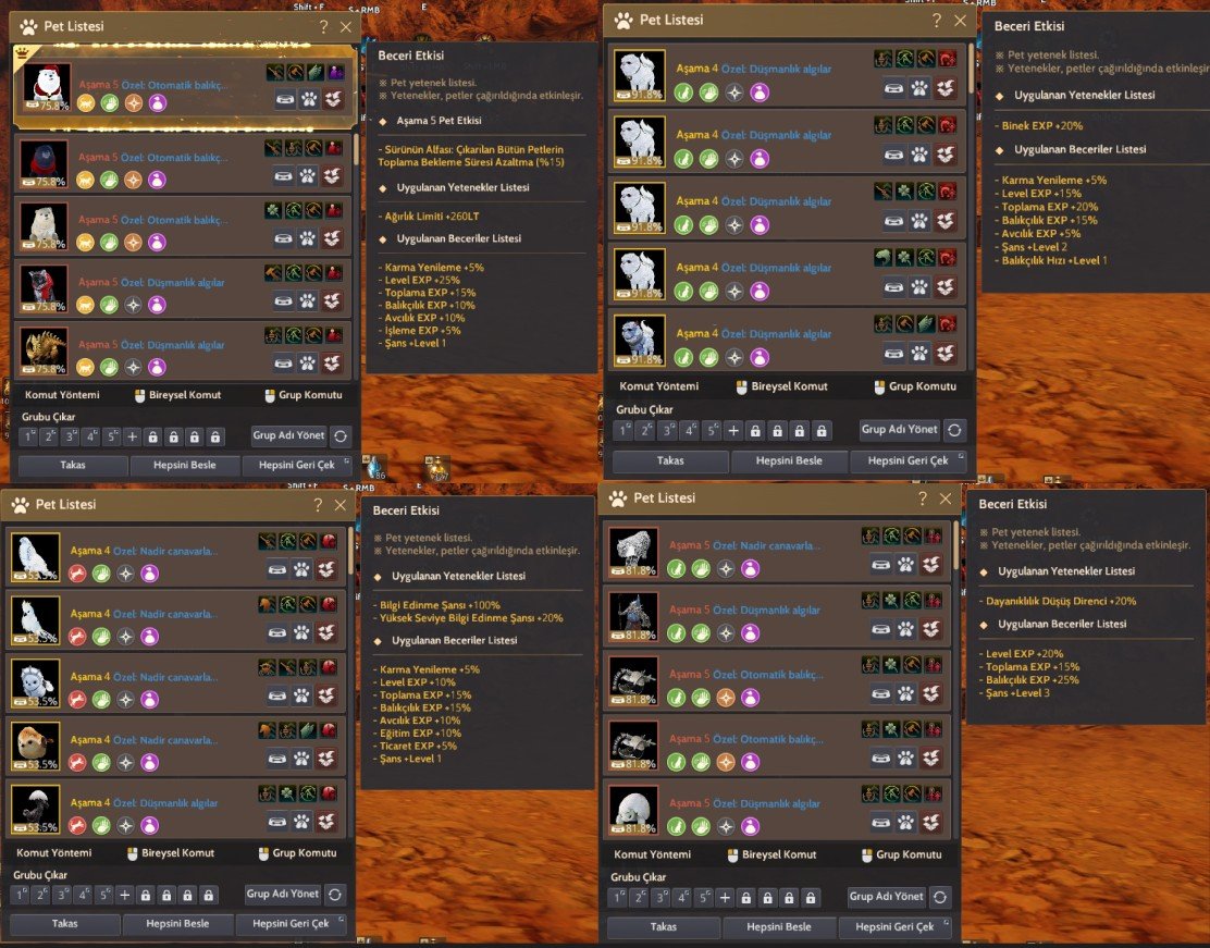900 GS FULL IX-X-X PVE PVP Client Hesap ilk sahibi (GS ŞUANLIK BU)