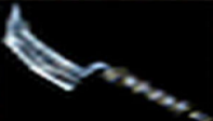 ForgottenKO 1 Shard