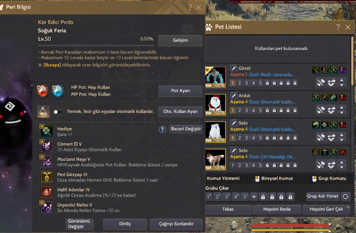 877 GS FULL P2W
