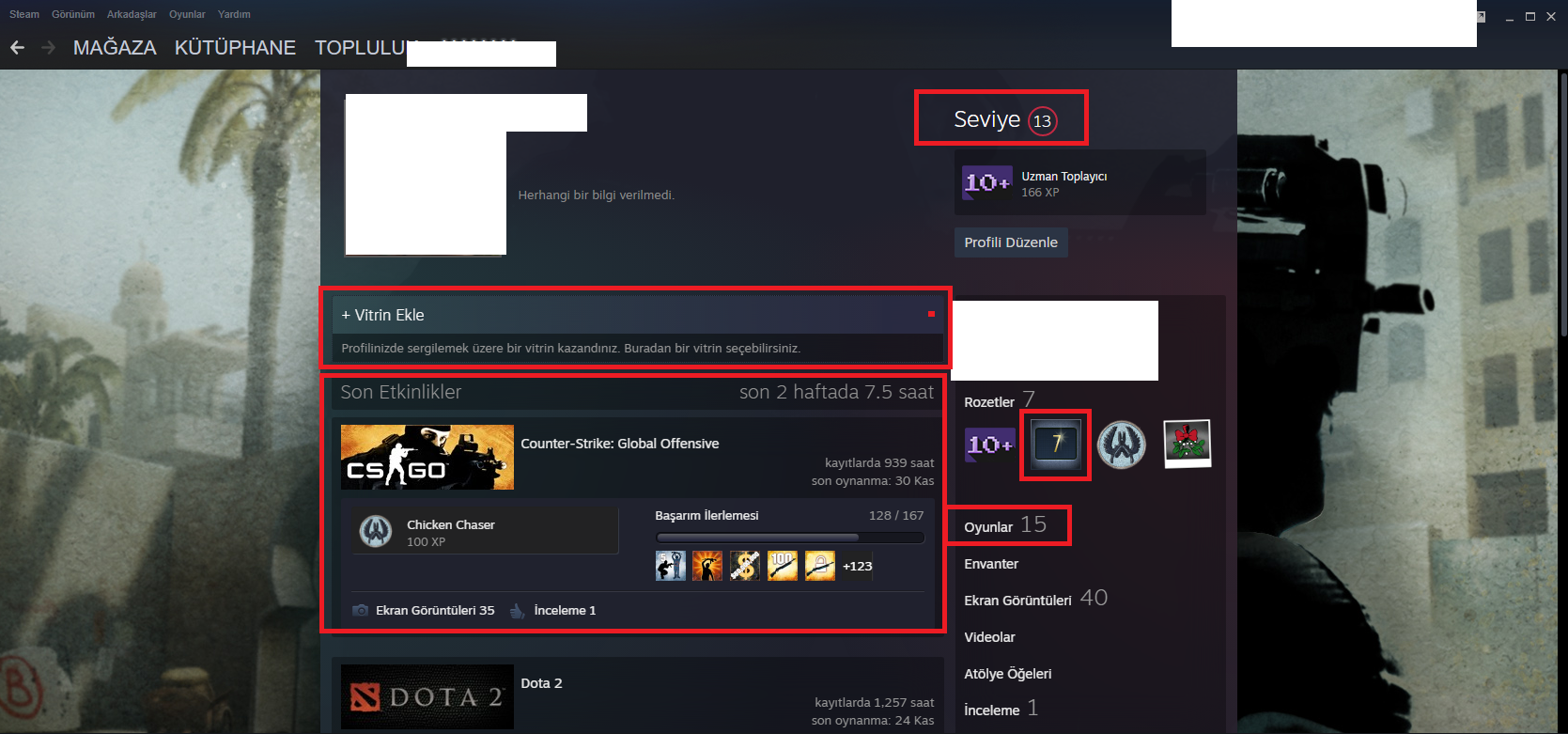 2 MADALYALI 10 LV 79 LV STEAM 12000 TL STEAM OYUN ENVANTERLİ 160+130 TL CS  GO ENVANTER VE STEAM CARD MAİNLİK HESAP ACC Satın Al, En Ucuz indirimli  Fiyat