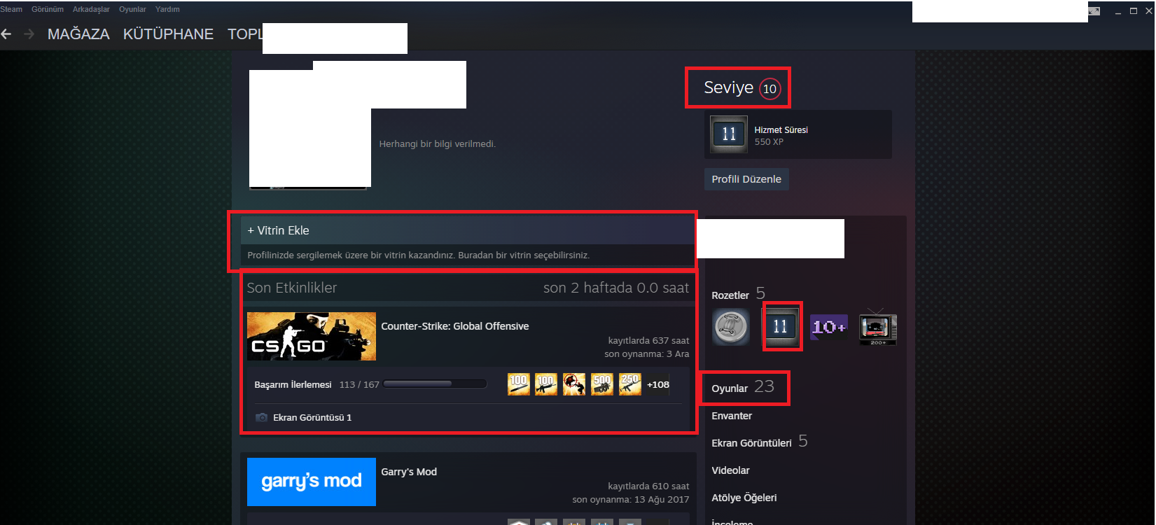 2 MADALYALI 10 LV 79 LV STEAM 12000 TL STEAM OYUN ENVANTERLİ 160+130 TL CS  GO ENVANTER VE STEAM CARD MAİNLİK HESAP ACC Satın Al, En Ucuz indirimli  Fiyat