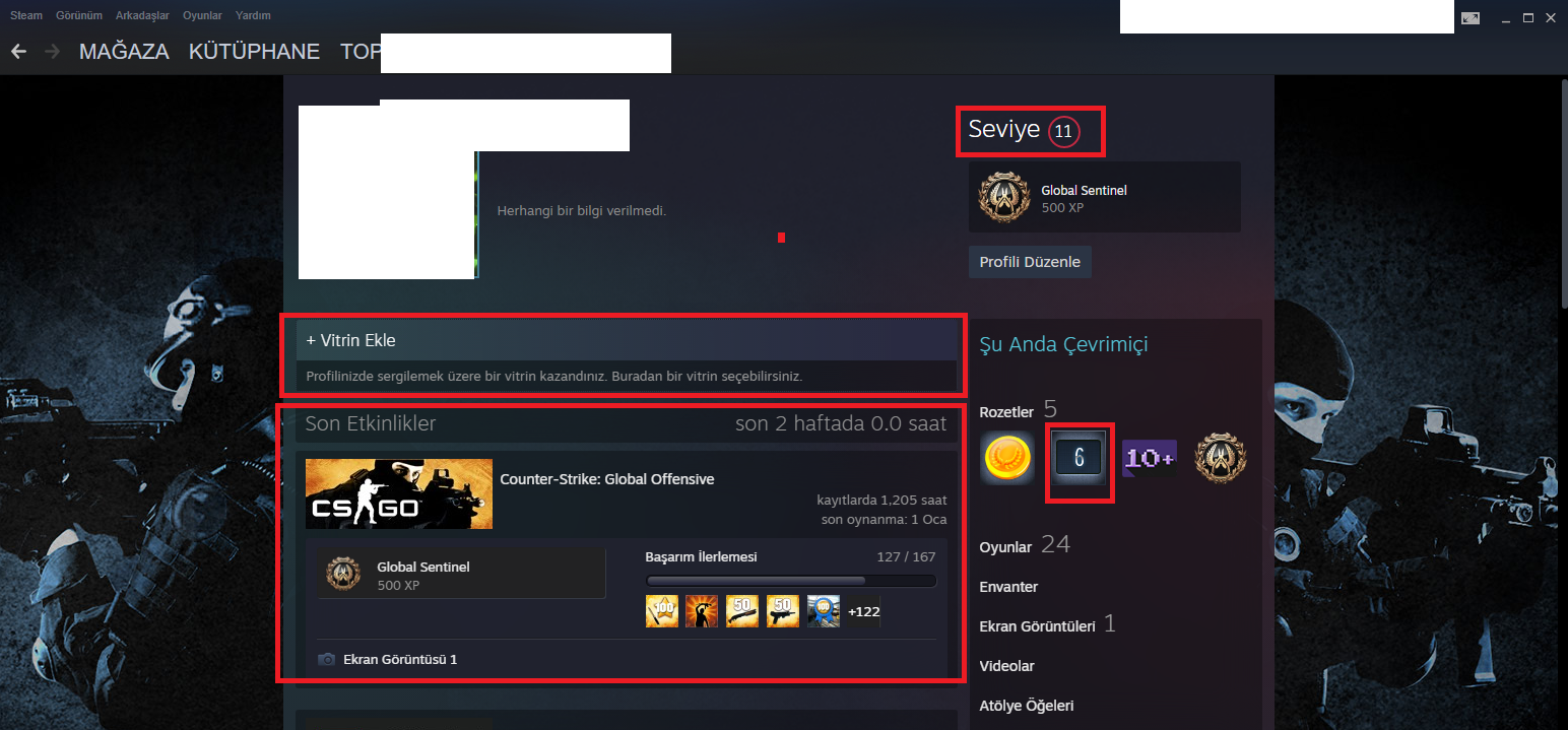 7 MADALYALI CALL Ghosts RUST RAİNBOW MAFİA 3 BLACK OPS 2 850 TL STEAM OYUN ENVANTERLİ ACC