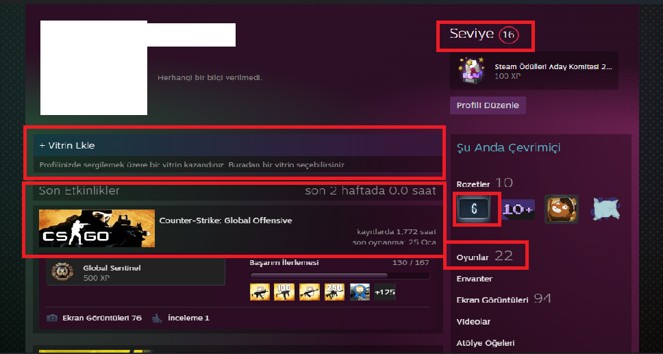 7 MADALYALI 20 TL CS GO ENVANTERLİ 325 TL STEAM OYUN ENVANTERLİ MAİNLİK HESAP STEAM LV 16