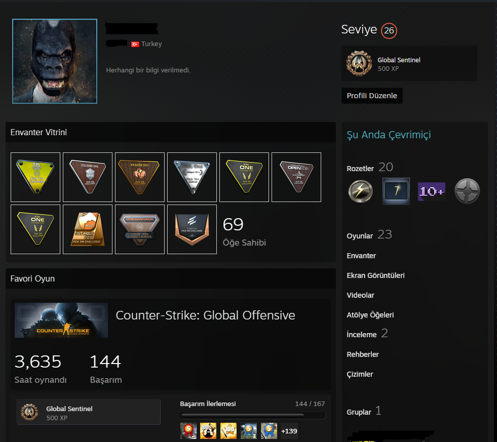 21 Madalya ve Pickemli Çok Özel Hesap