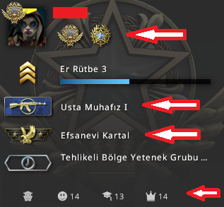 2 MADALYA 246 WIN 883 SAAT CSGO PRIME HESAP