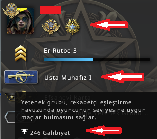 2 MADALYA 246 WIN 883 SAAT CSGO PRIME HESAP