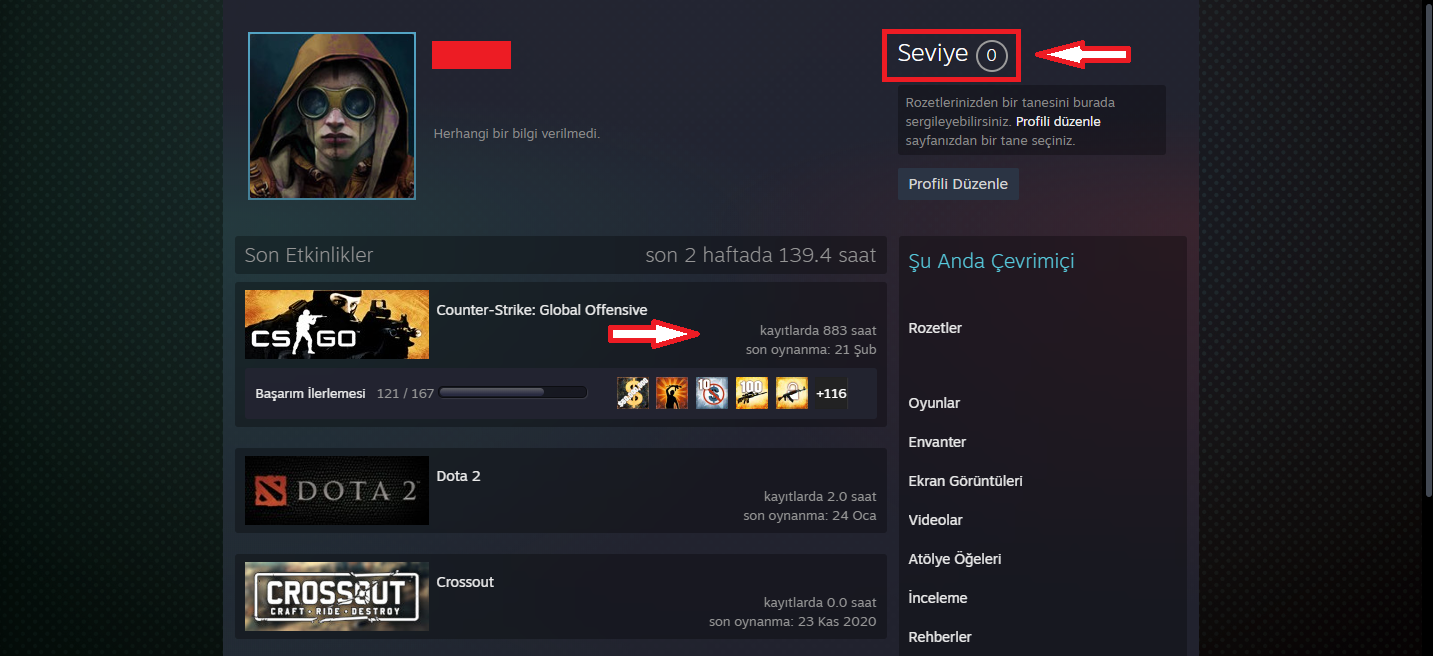 2 MADALYA 246 WIN 883 SAAT CSGO PRIME HESAP